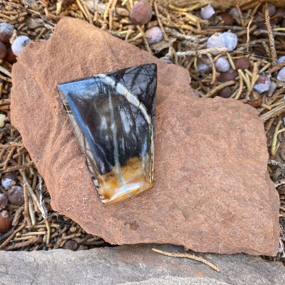 Vintage picture stone pin