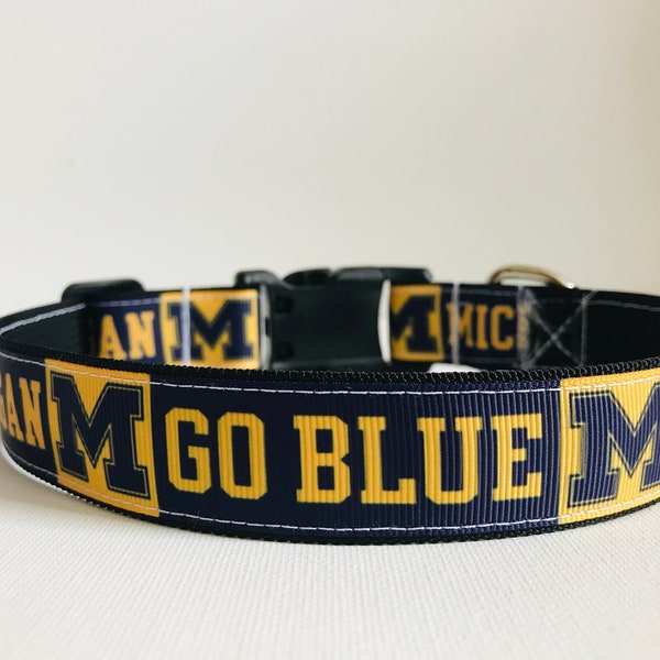 University of Michigan dog collar, gold, blue, go blue, leash, maize, college, dolledupdoggie