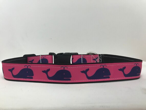 girl dog collars and leashes