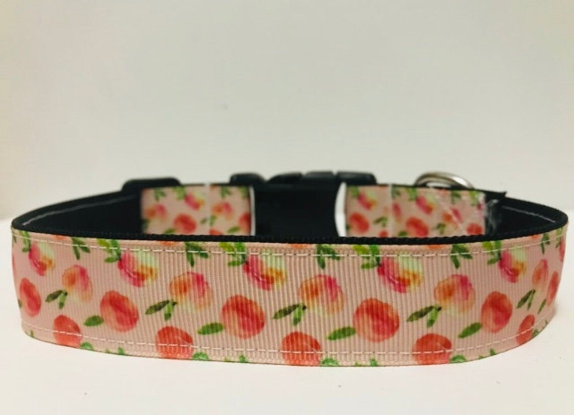 Peach Dog Collar Pet Collar Fruit Water Color Trendy Etsy