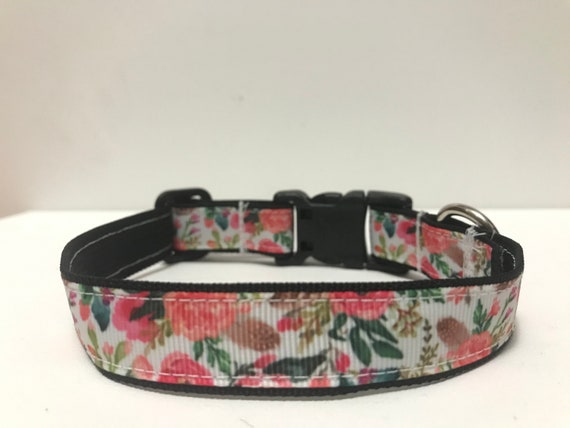 nature dog collars