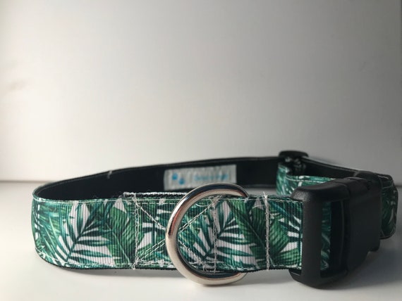 light green dog collar