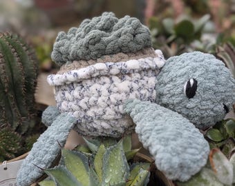 Crochet Succulent Turtle Plushie: Plant Lover Gift