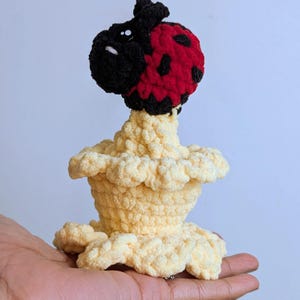 May include: A handmade crochet ladybug figurine with a red and black head and a cream-colored body. The ladybug has black spots on its red shell and is perched atop a ruffled, cream-colored base. The figurine is held in a hand.