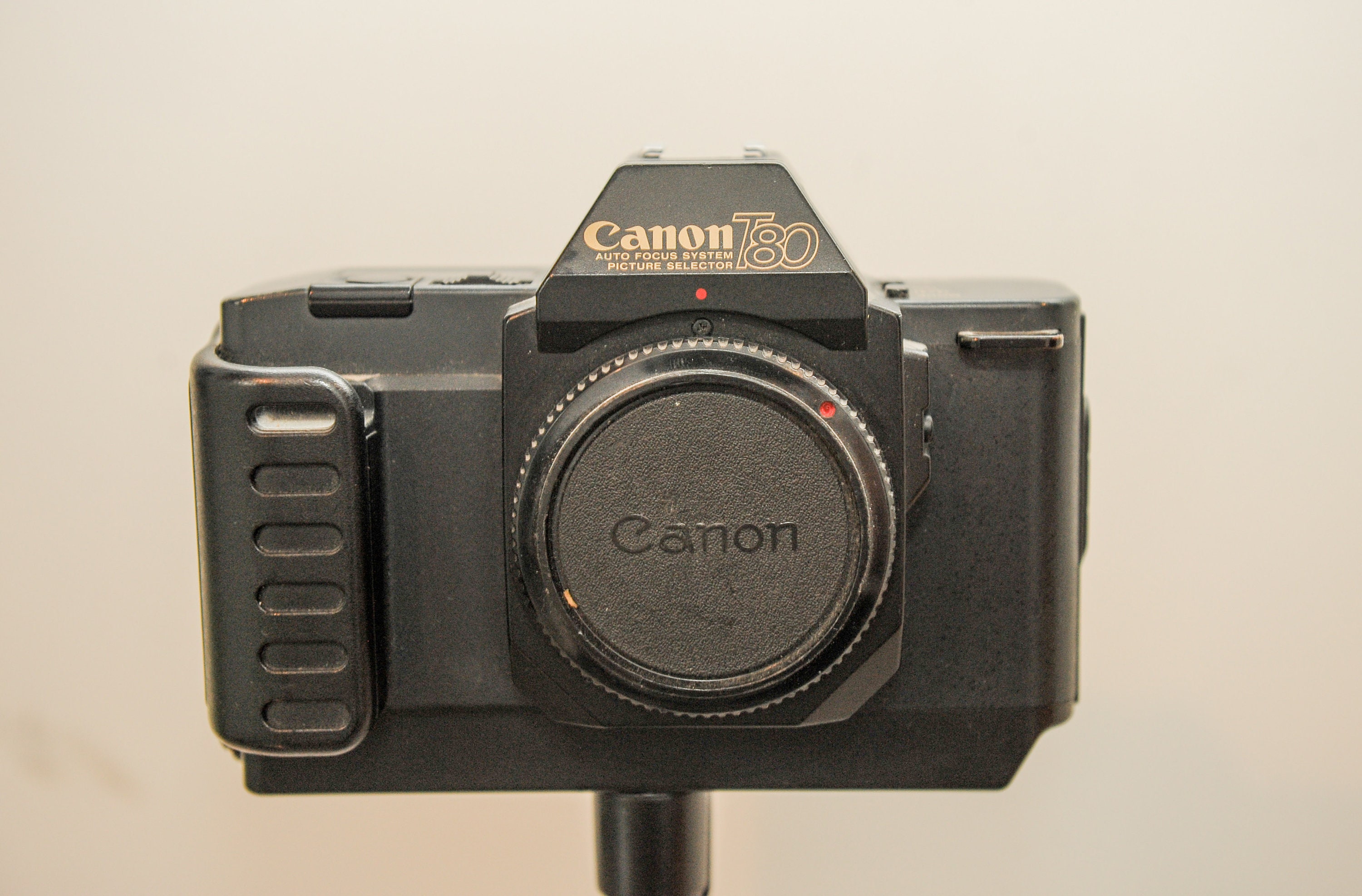 Canon t80 - Etsy 日本