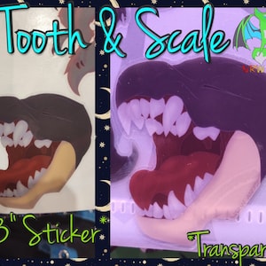 Tooth & Scale Sticker *Transparent* By NRW Artz
