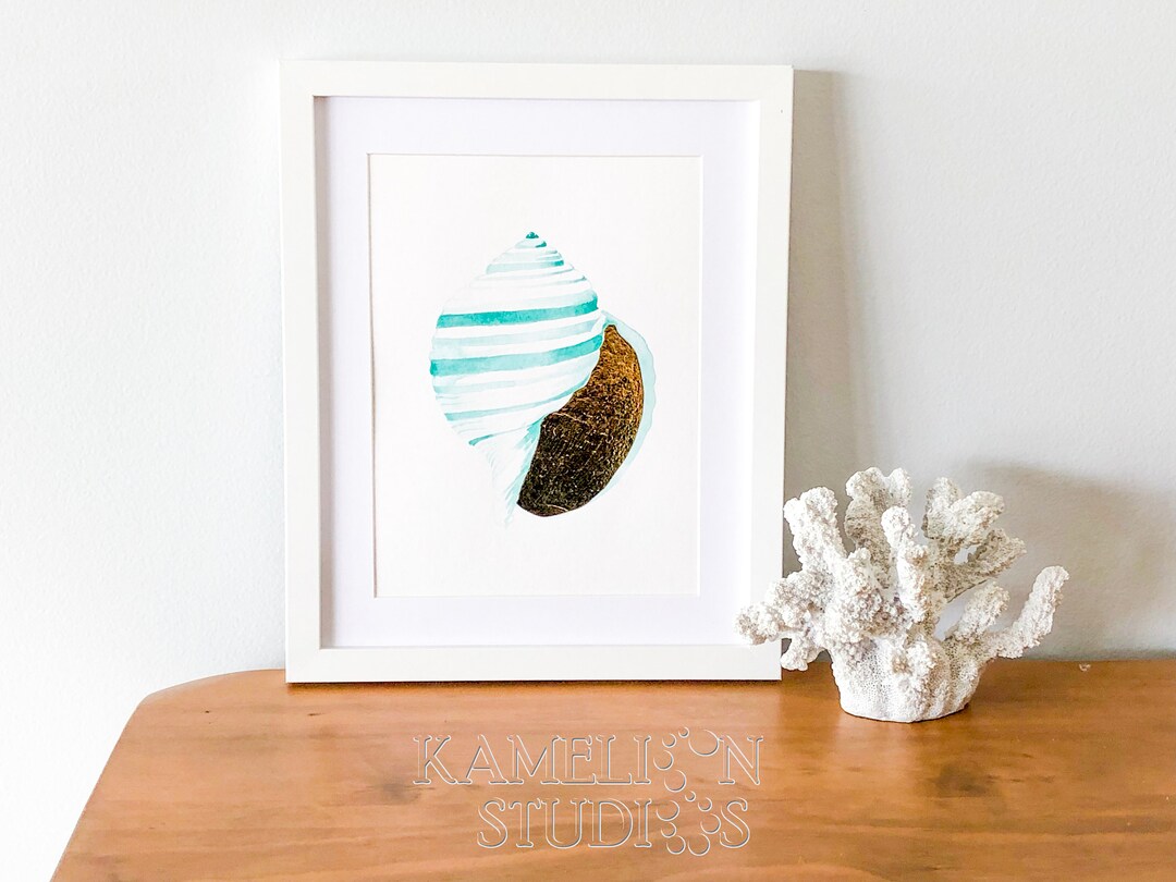 Banded Tun Shell Watercolor Painting: Turquoise & Gold Foil Ocean Art ...