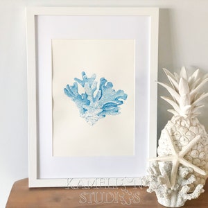 Barrier Reef Coral Illustration in Ocean Blue, Coastal artwork for beach house, Ocean inspired watercolour painting,