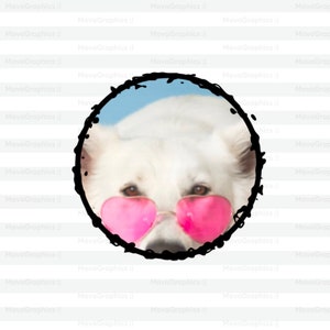May include: A white dog wearing pink heart-shaped sunglasses in a black circle with a blue background.