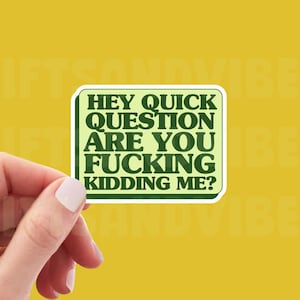 Hey Quick Question Are You Fkin Kidding Me? - Funny Waterproof Sticker