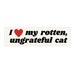 I Love My Rotten, Ungrateful Cat Cute Funny Meme Bumper Sticker Car Decal 