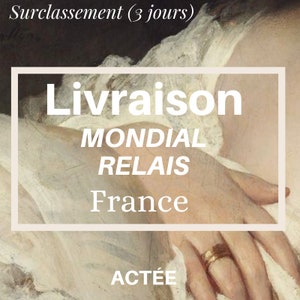 UPGRADE - Mondial Relais Frankrijk