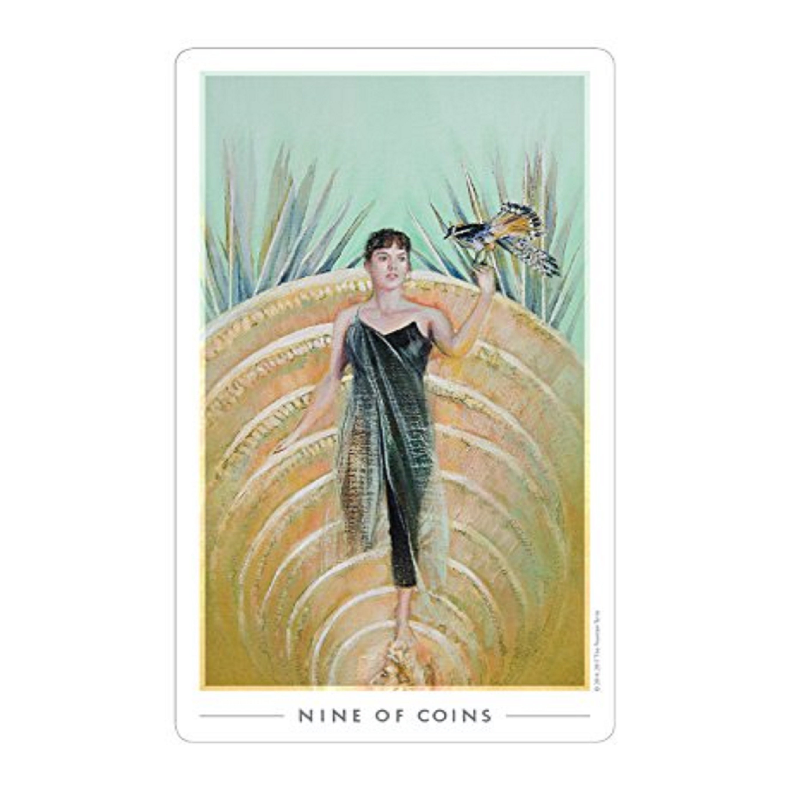 The Fountain Tarot Illustrated Deck and Guidebook Etsy UK