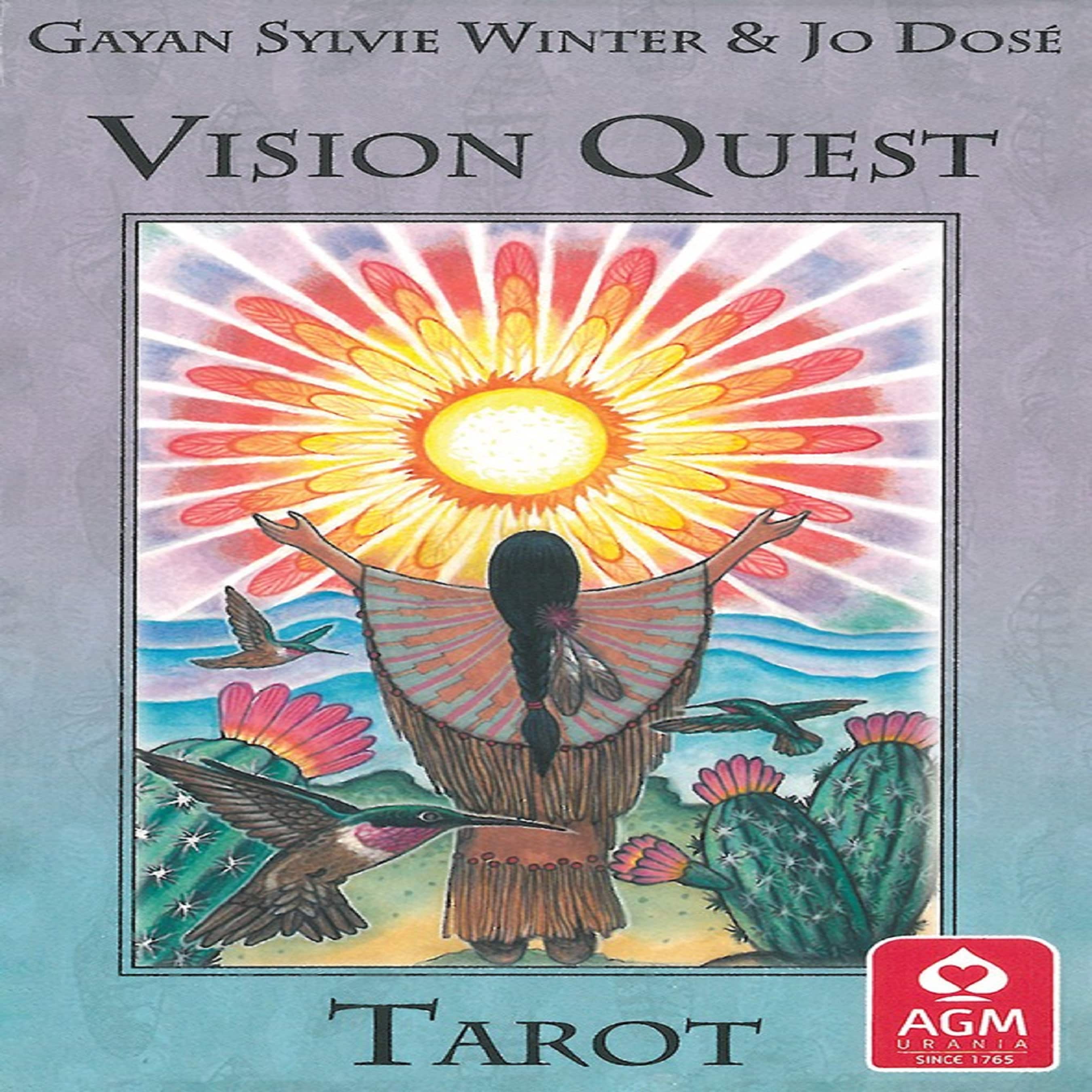 Vision Quest Tarot Etsy