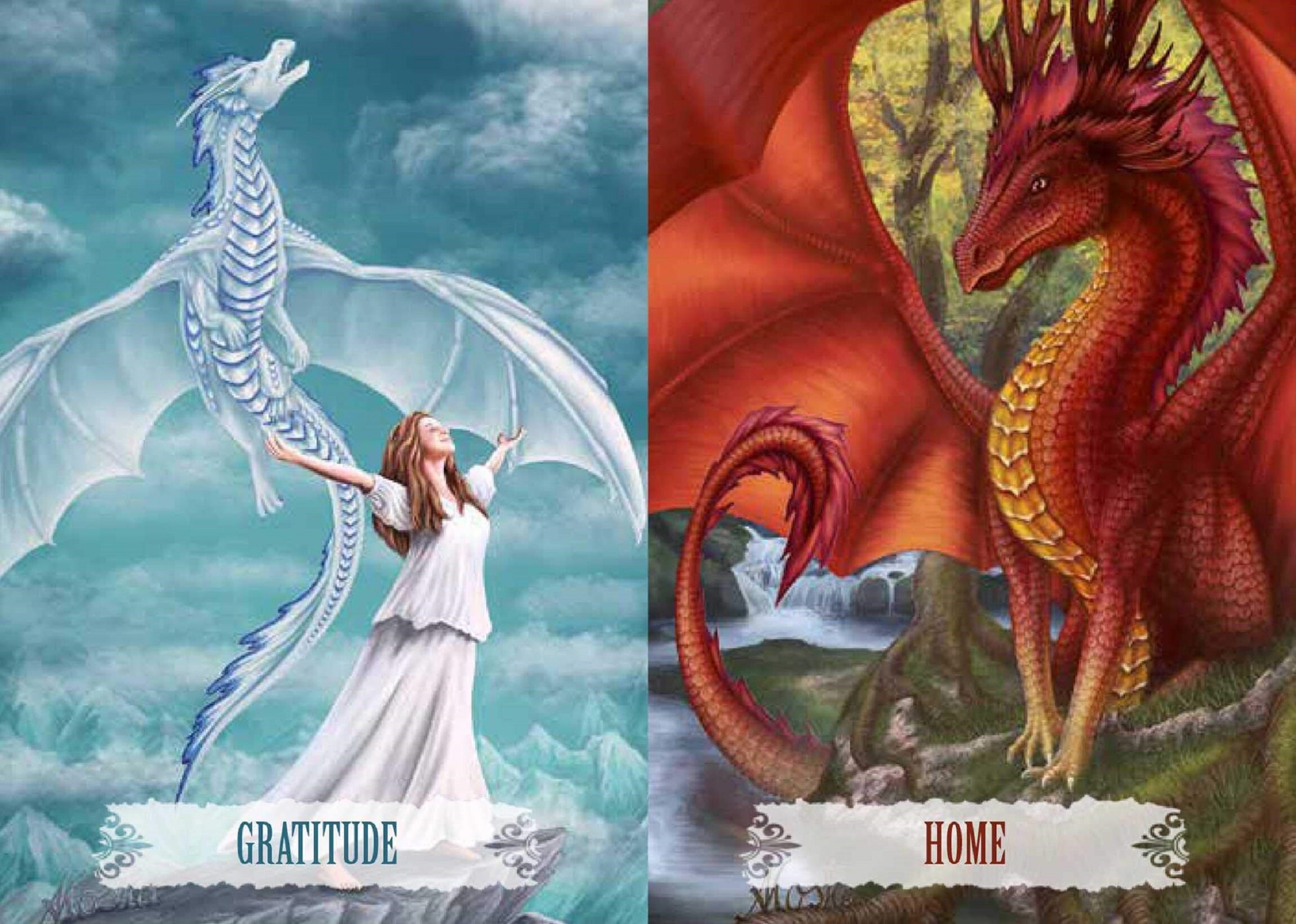 Dragon Wisdom: 43-card Oracle Deck and Book with Books - Etsy