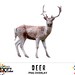 Deer Digital Overlay