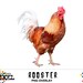 Rooster Digital Overlay