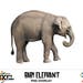 Baby Elephant Digital Overlay