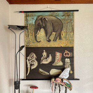 Rare carte scolaire vintage ELEPHANT par Jung Koch Quentell Tableau mural éducatif