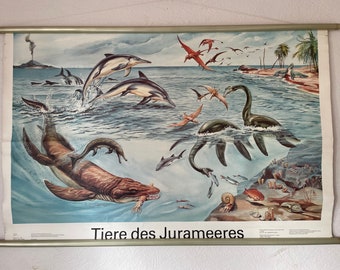 Vintage ANIMALS of the JURASSIC SEA school chart roll down educational chart evolution Palentology marine creatures