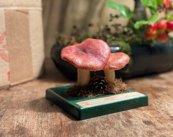 Vintage Somso SICKENER MUSHROOMS educational model toadstool Botanical vomiting  Russula russula emetica