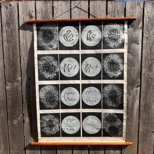 Op de afbeelding: Een vintage educatieve wandkaart met een reeks zwart-witillustraties die de stadia van celdeling weergeven. De kaart is gemonteerd op twee horizontale houten staven met een dun touwtje aan de bovenkant om hem op te hangen.