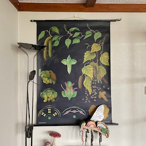 Alte Schultafel Birke von Jung Koch Quentell. Wandtafel von 1964