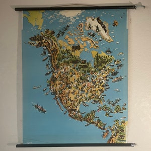 Mappa vintage del grafico scolastico del NORD AMERICA USA Poster in lino risorse naturali degli Stati Uniti