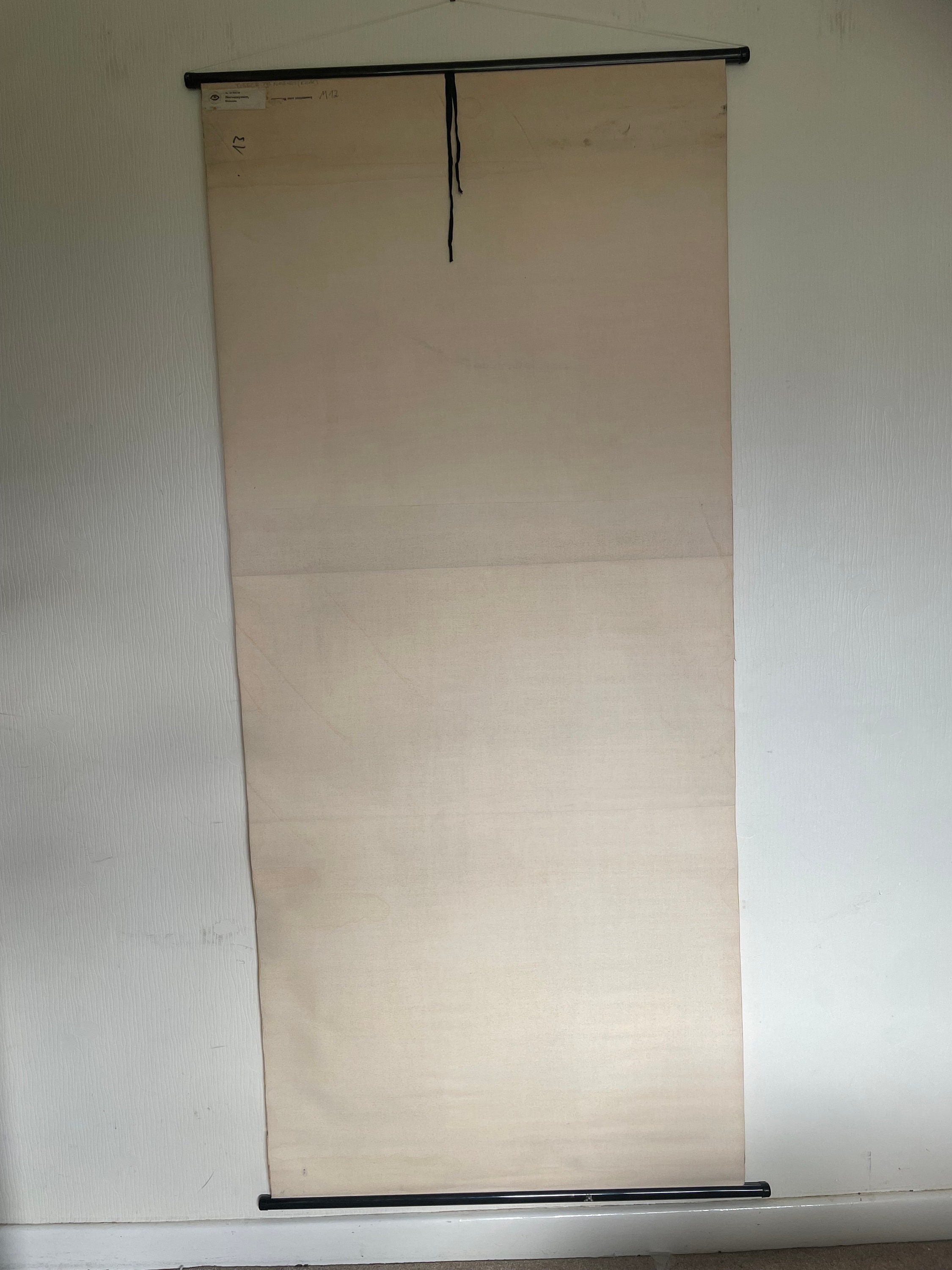 Vintage FULL BODY NERVOUS System School Chart Anatomy Roll Down Medical ...