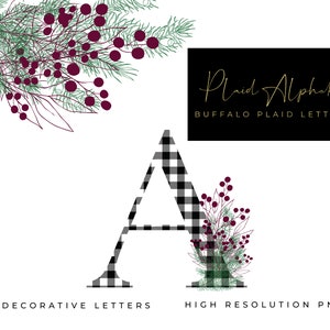 Plaid Alphabet Letters/ Monogram/ Christmas Letters/ Mistletoe Clipart