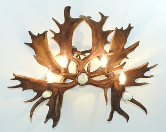 Large Fallow Deer Antler Sconce for Farmhouse