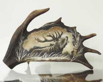Antler Carving shows Deer