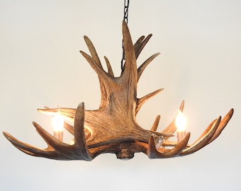 Real Moose Antler Chandelier for 3 Lights