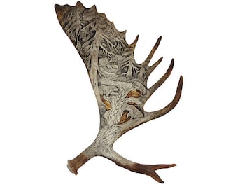 moose antler carving etsy