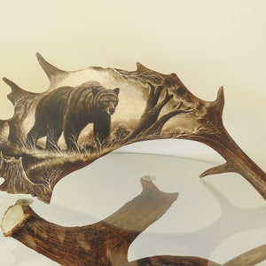 本物の枝角の彫刻はクマを示しています