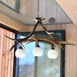 Deer Antler Chandelier for 3 Lights in Rustic Style