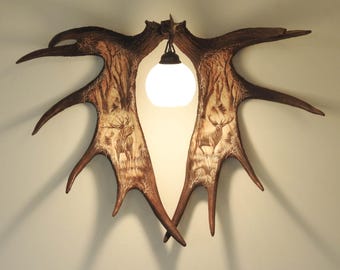 Real Large Moose Antler Sconce shows Deers