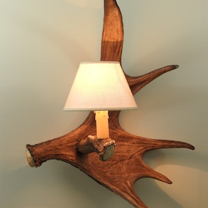 Moose Antler Wall Sconce with Shades