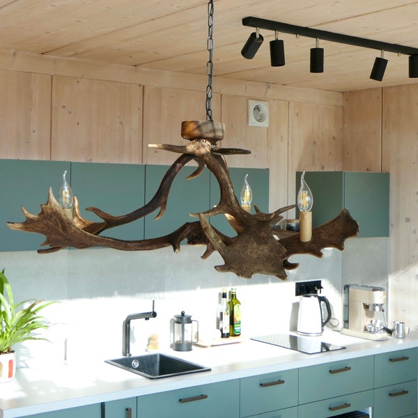 Small Antler Chandelier for Low Room