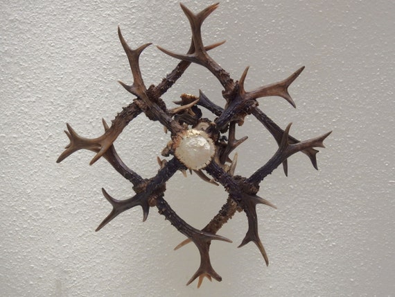 Small antler chandelier deals