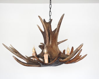 Real Moose Antler Chandelier for 3 Lights Etsy Australia