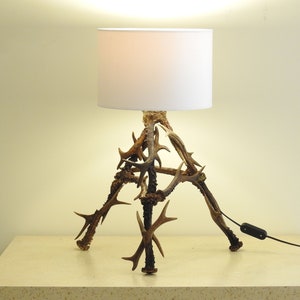 Real Antler Bedeside Standing Lamp