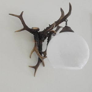 Antler Sconce - Real Antler Sconce for Wall Light, for Antler Lighting, for Antler Decor, for Antler Chandelier, for Deer Lighting