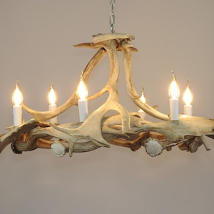 Real White Antler Chandelier in Modern Style