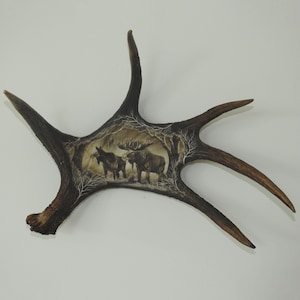 Real Moose Antler Carving shows Moose Couple