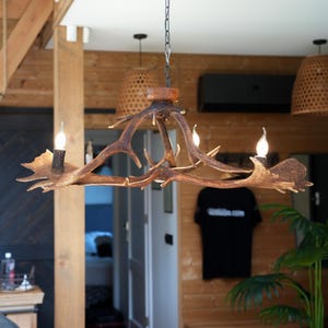 Small Real Antler Chandelier for Farmhouse