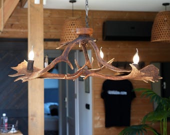 Small Real Antler Chandelier for Farmhouse