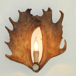 Real Antler Sconce
