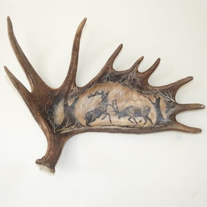 Real Moose Antler Carving shows Fighting Deers