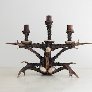 Real Antler Candle Holder